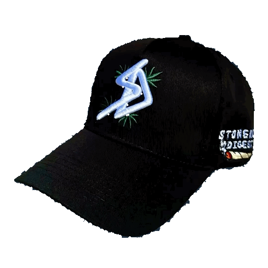 420 Snapback - Purple