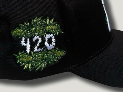 SD 420 Baseball Cap