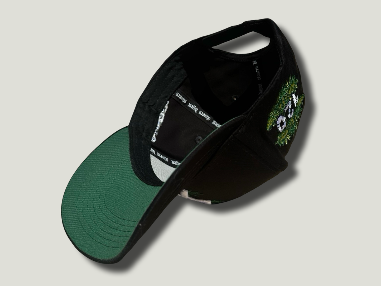 SD 420 Baseball Cap